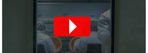 video recherche