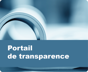 portail-transparence_Plan de travail 1 copie 3